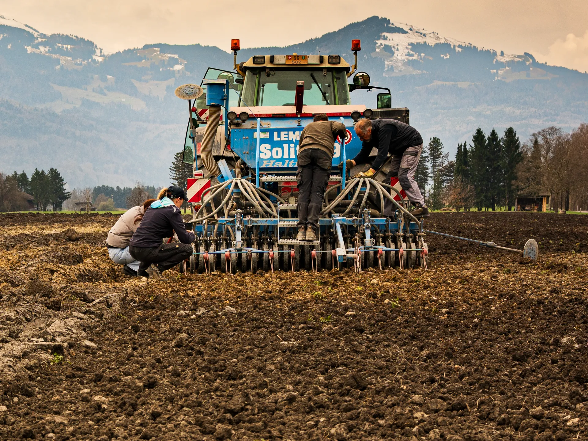 Süsslupinen-Versuch